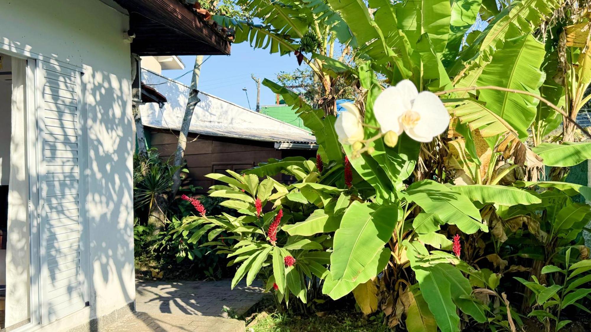 Tombo Beach Yoga E Bem-Estar Guarujá Eksteriør bilde